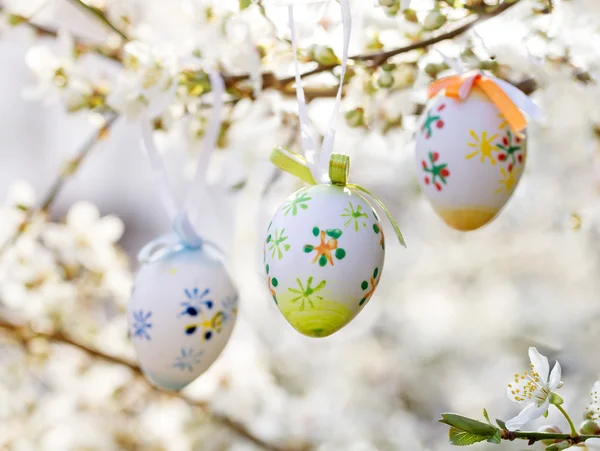 Easter egg on a flowering tree branch — Stock Photo, Image