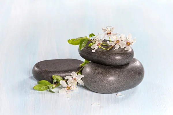 Spa stones and a branch of a flowering tree — Stock Photo, Image
