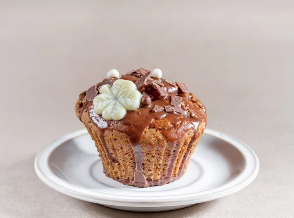 Chocolate muffin — Stock Photo, Image