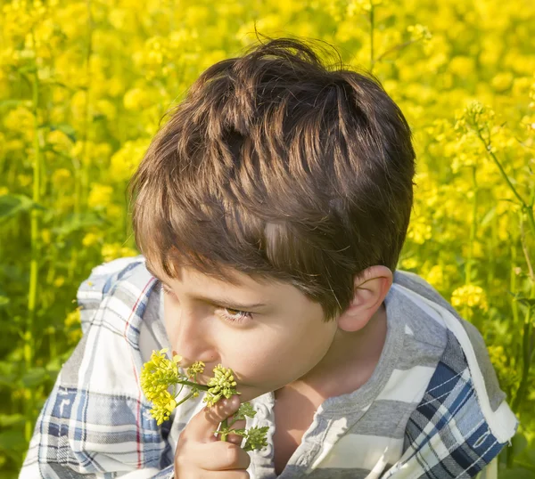 Ritratto di un ragazzo su un campo di colza — Foto Stock