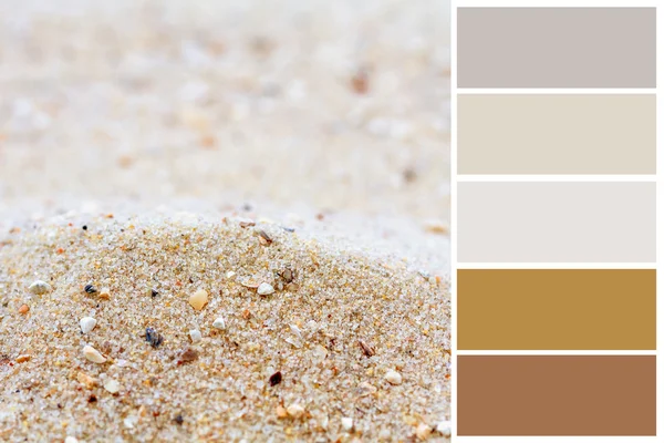 Sand Hintergrund Farbpalette mit kostenlosen Farbmustern. — Stockfoto