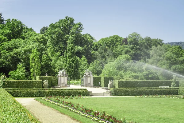 Regar o jardim de rosas . — Fotografia de Stock