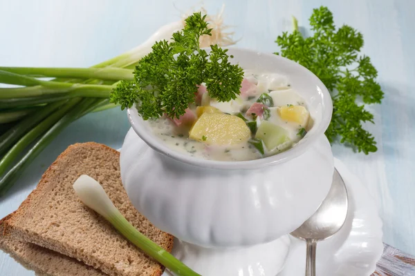 Summer cold soup with vegetables — Stock Photo, Image