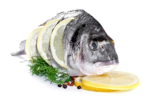 Fresh dorado on white background — Stock Photo, Image