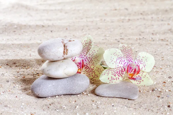Orchid with zen stones in the sand — Stock Photo, Image
