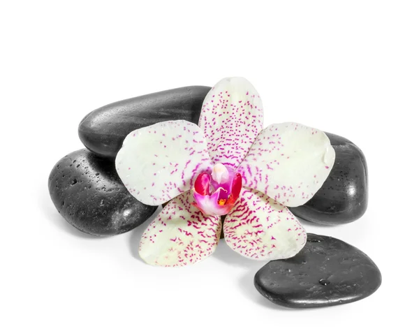 Orchid och zen stenar på en vit bakgrund — Stockfoto