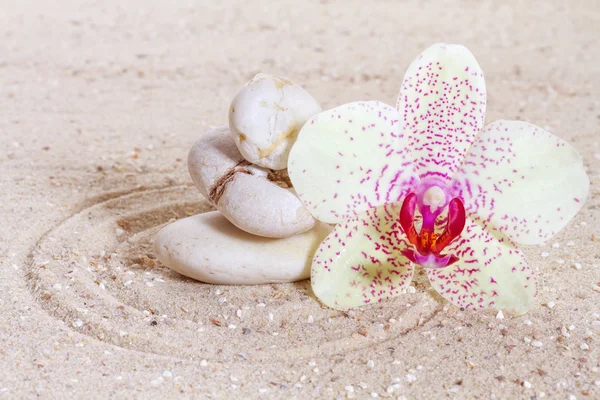 Orquídea con piedras zen en la arena — Foto de Stock