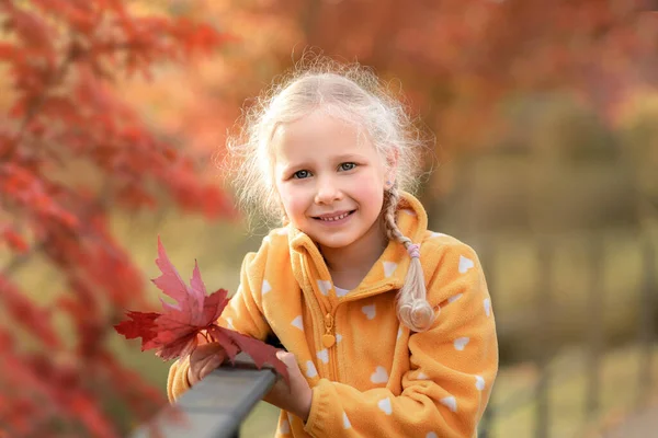 Retrato Uma Menina Parque Outono — Fotografia de Stock
