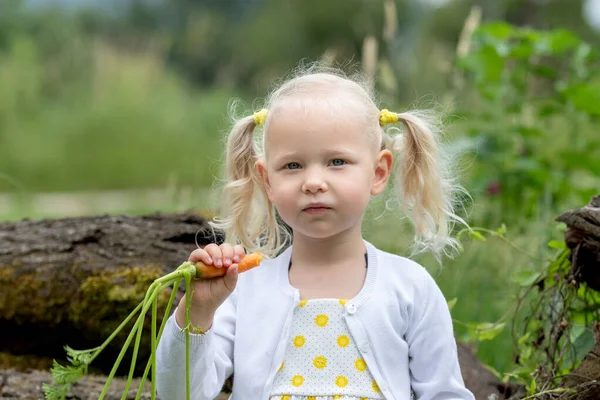 Bambina Che Mangia Carote Giardino — Foto Stock