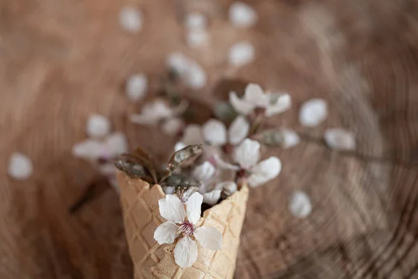 Tavaszi Csendélet Első Virágokkal — Stock Fotó