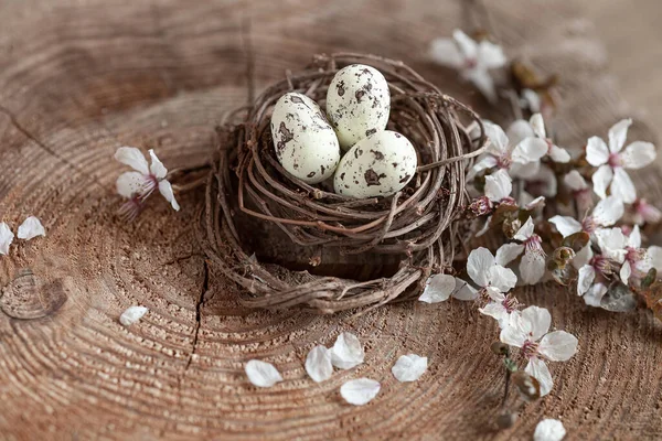 Frühlingsstillleben Mit Wachteleiern Und Blumen Oster Hintergrund — Stockfoto