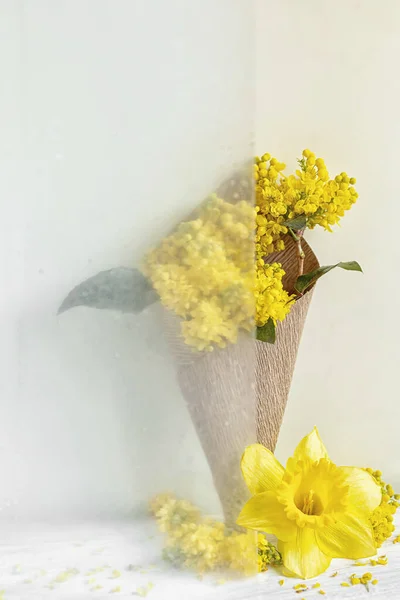Jarní Zátiší Květy Narcisy Magonia — Stock fotografie