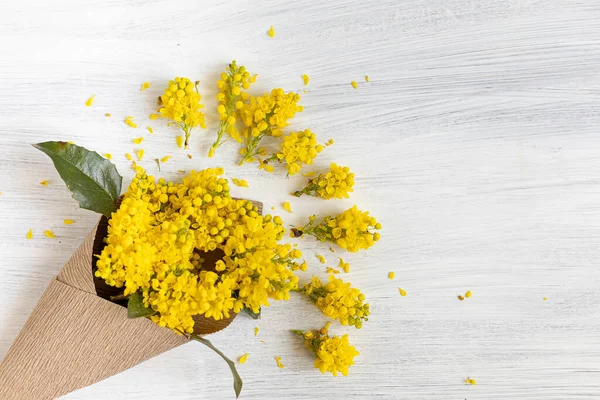 Primavera Ainda Vida Com Flores Mahonia Narciso — Fotografia de Stock