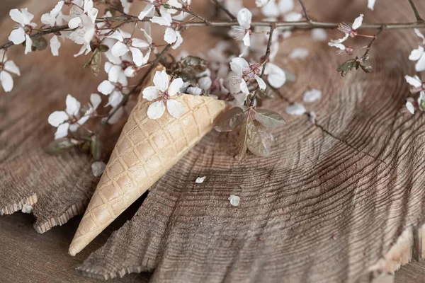 Våren Stilla Liv Med Första Blommor — Stockfoto