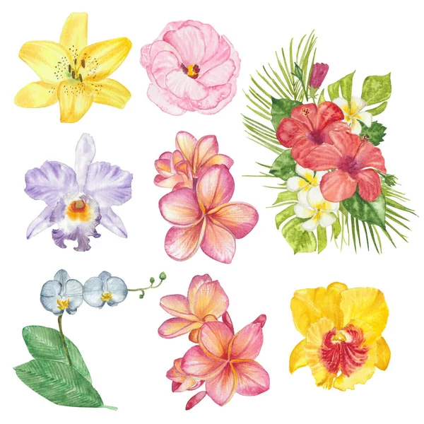 Watercolor Flowers Floral Paint Illustration Clipping Parts Isolated White Background — Foto de Stock