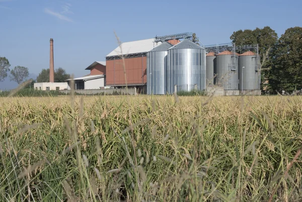 Rice silos and plant — Stock Photo, Image