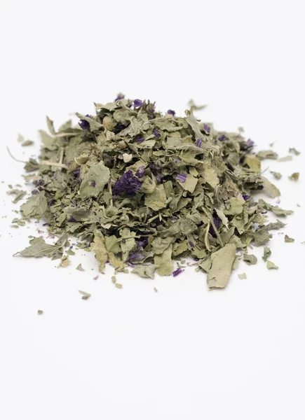 Mallow herb — Stock Photo, Image