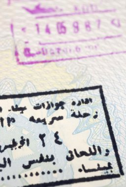 Arap damgası yakın çekim