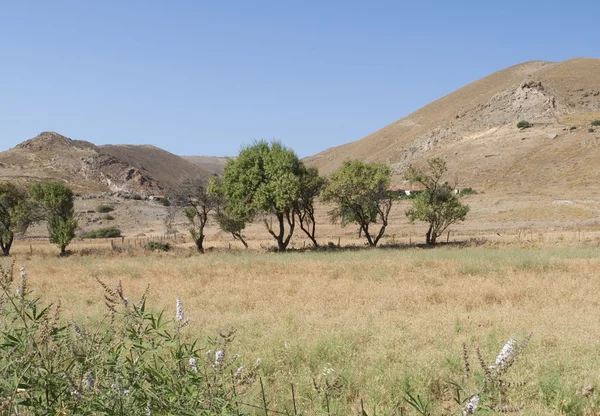 Ilha de lemnos — Fotografia de Stock