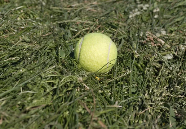 Tennis ball — Stock Photo, Image