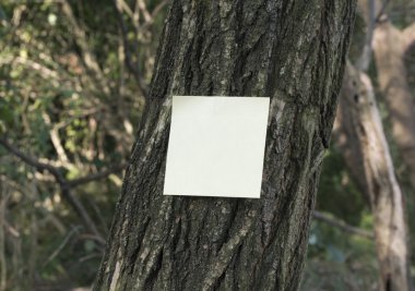 Ağaç üzerinde post it