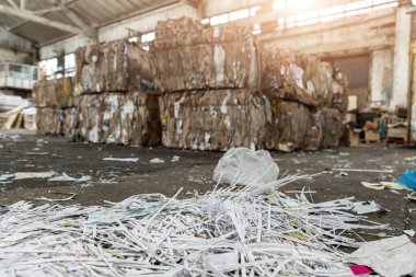 Kullanılmış kağıt ambalaj ve döküman yığınını endüstriyel fabrika veya fabrikada geri dönüşüm ve yeniden kullanım için toplanan sıkıştırılmış karton balyalar karşı dökün. Sürdürülebilir materyal ve çevre kavramı