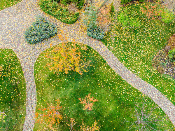 Aerail view of walk path between multicoloroed bright vibrant garden tree first fallen dry leaves on green grass lawn at home yard or city park in october. Autumnal scenic nature foliage backgound.