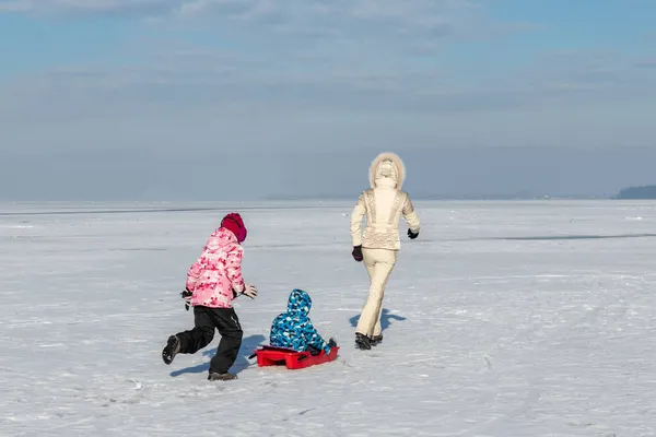 Fiatal felnőtt anya viselni meleg kabát élvezze a szórakozást szánkózás két aranyos kis testvér gyerekek fiú lány fagyasztott fehér hó tó mező ellen tiszta kék ég táj fényes napos hideg téli napon. Kültéri — Stock Fotó