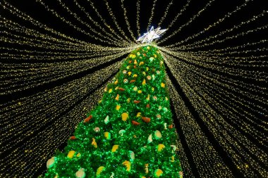 Dekorasyonlarla süslenmiş güzel Noel Ağacı arka plandaki Sofya Katedrali 'ne karşı hafif çelenklerle aydınlatılmış. Mutlu 2022 Yeni Yıl ve xmas Kutlamaları