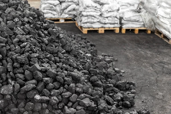 Big heap of dark black lump coal on floor bulk. Charcoal sorage at warehouse stock reserve. activated anthracite packed in plastic bag sack on wooden pallet. Industrial and mining industry background — Stock Photo, Image