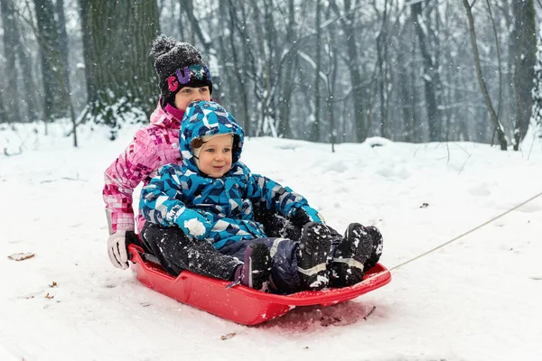 Dwa słodkie urocze śmieszne rodzeństwo przyjaciel nosić ciepłą kurtkę cieszyć się sanki w parku miejskim lub lasu przed zimnym śniegu krajobraz lasu w śnieżny zimowy dzień. Aktywność dzieci na świeżym powietrzu — Zdjęcie stockowe
