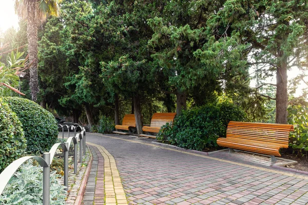 Vista panorámica del tranquilo jardín botánico verde hermoso ornamental tranquilo con fila de muchos bancos de madera vacíos y pasarela pavimentada. Parque urbano de la calle pública natural en día brillante o mañana —  Fotos de Stock