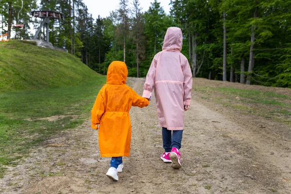 Par de lindos niños pequeños caucásicos hermanos en impermeables impermeables brillantes caminando bajo la lluvia en el camino del bosque suciedad moody escénico fuera. Tiempo de otoño senderismo al aire libre. Amistad y apoyo infantil — Foto de Stock