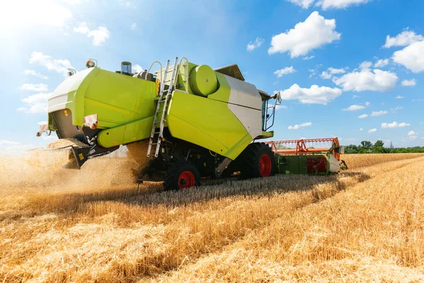 Szenische Seitenansicht Großer leistungsstarker Industriemähdrescher erntet an strahlenden Sommer- oder Herbsttagen goldene reife Getreidefelder. Landwirtschaftliche gelbe Feldmaschinen Landschaft Hintergrund — Stockfoto