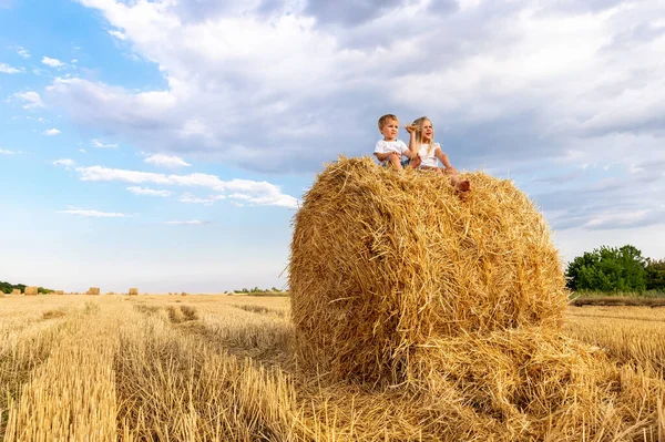 Twee schattige Kaukasische broers en zussen genieten van het hebben van plezier zitten op de top over gouden hooibaal op tarwe geoogst veld in de buurt van boerderij. Gelukkige kindertijd en vrijheid concept. Landelijk landschap landschappelijk landschap — Stockfoto
