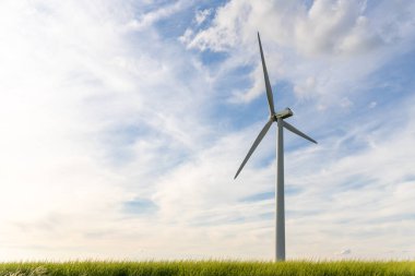 Açık mavi gökyüzü kanola alanına karşı yeni beyaz, modern rüzgar türbini çiftliği enerji üretim istasyonunun panoramik manzarası. Temiz sürdürülebilir sıfır emisyon alternatif elektrik rüzgar çiftliği endüstrisi.