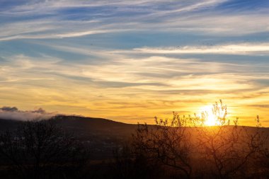 Scenic beautiful panoramic landscape view of bird and tree silhouette mountain hill forest woods meadow at early morning fog misty sunrise or sunset dusk sky time. Alpine nature travel destination.