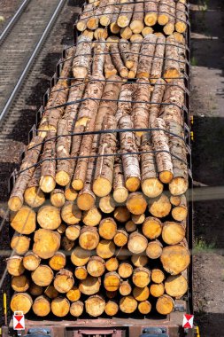 Close-up view railway sorting station with many transportation rail carriage. Railroad car wooden timber log and gas tanks logistics. Raw wood heating material transportation. Freight cargo transport.