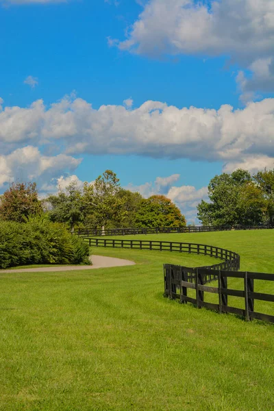 Bellissimo Pascolo Del Kentucky Horse Park Lexington Kentucky — Foto Stock