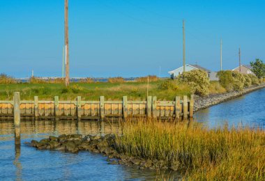 Calhoun Landing 'deki Holts Landing State Park' tan görüntü. Sussex County, Delaware 'deki Indian River Körfezi' nde.