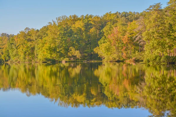 Tükörkép Fák Bear Creek Lake State Park Cumberland Virginia — Stock Fotó