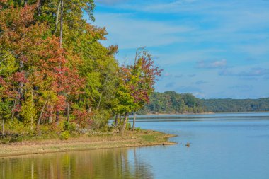 Halifax County, Virginia 'daki Staunton Nehri Parkı' nın kıyısında yapraklar dökülüyor.