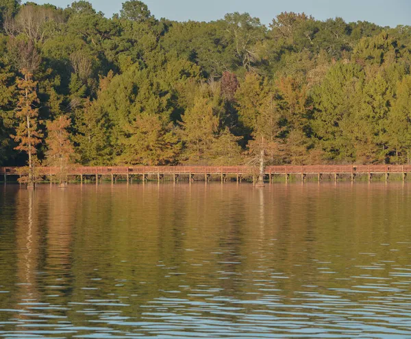 Rybaření Pěší Most Jezera Arbonne Louisianě — Stock fotografie