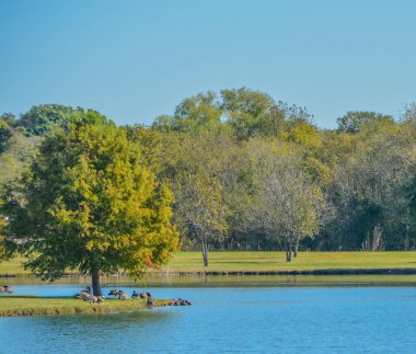 Mesquite Park ve Eğlence Gölü Mesquite, Teksas