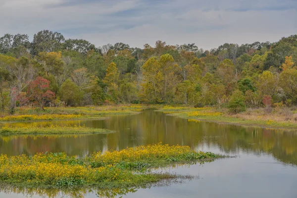 Schöne Wildnis Landschaft Einem Abgelegenen Teil Von Lincoln County Mississippi — Stockfoto