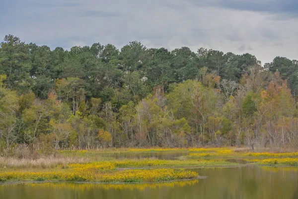 Schöne Wildnis Landschaft Einem Abgelegenen Teil Von Lincoln County Mississippi — Stockfoto