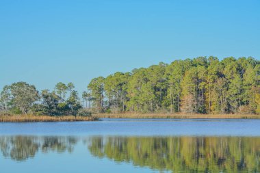 Tucker Bayou 'nun güzel manzarası. Cennet Bahçeleri Eyalet Parkı 'nda, Santa Walton County, Florida