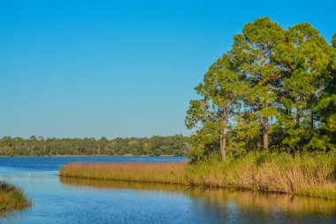 Freeport, Walton County, Florida 'daki Basin Bayou 