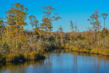 Alaqua Bayou, Destin, Walton County, Florida 'da eğlence için harika bir yer.
