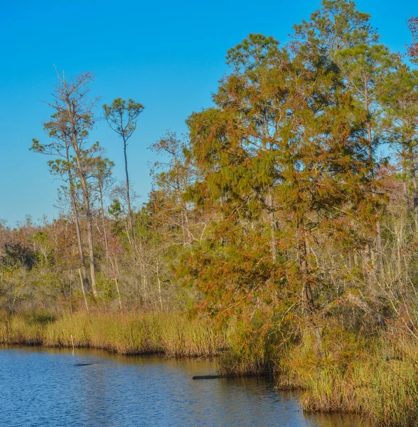 Alaqua Bayou Ótimo Para Atividades Recreativas Destin Walton County Flórida — Fotografia de Stock